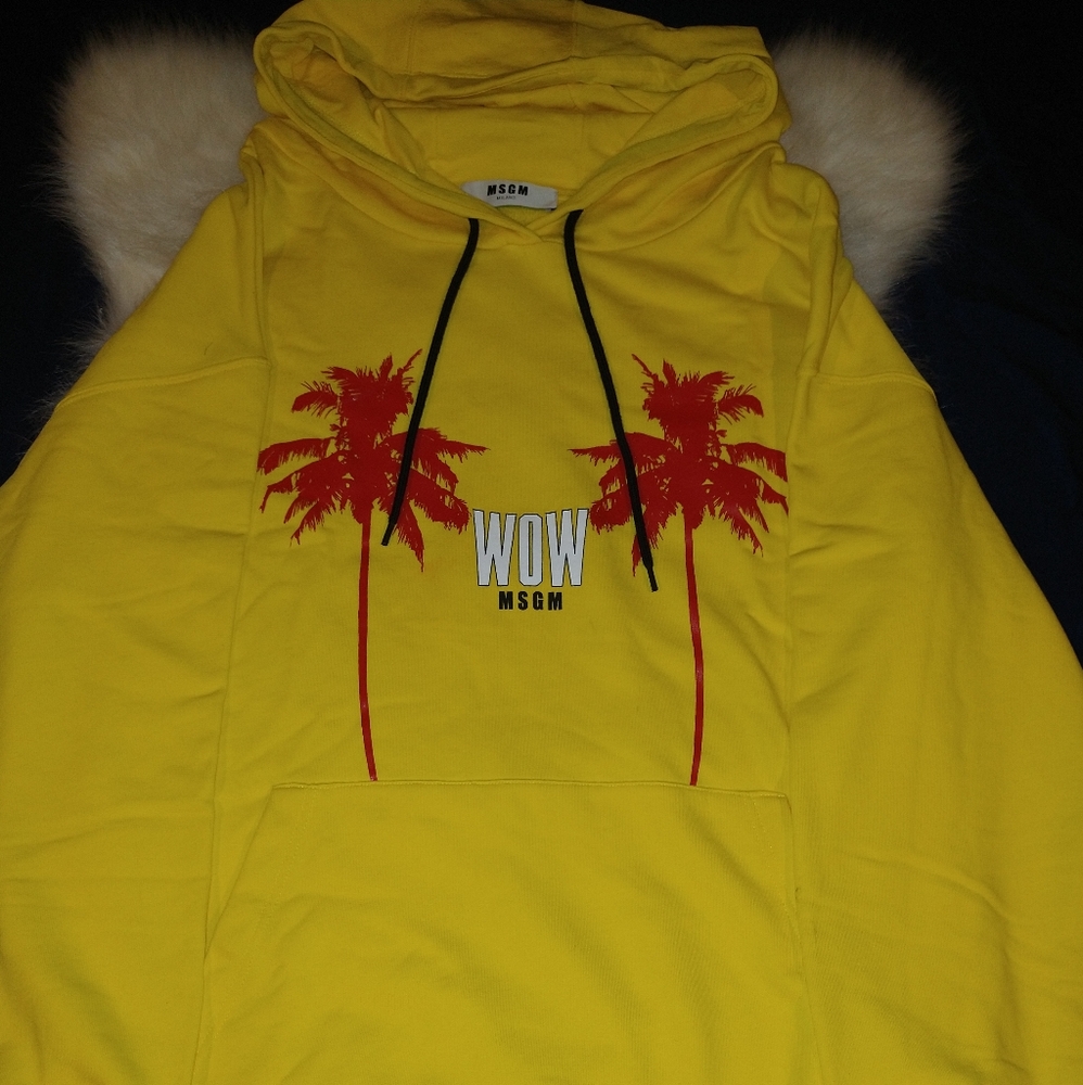 Authentic msgm hoodie brand new size large